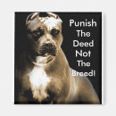 Recherche de puits magnets Pitbull