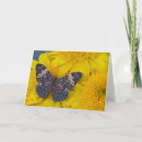 Recherche de papillon tropical vœux cartes Plante
