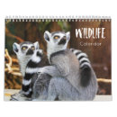 Zoek naar dieren kalenders Voor wilde dieren