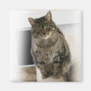 Recherche de amical photographie Animaux