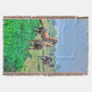 Recherche de geldings Pour tous