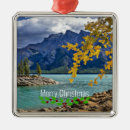 Recherche de parc national ornements Alberta