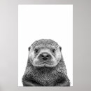 Recherche de loutre posters Loutre de mer