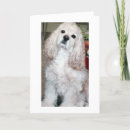 Recherche de chien parlant vœux cartes Dog