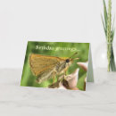 Zoek naar schipper briefkaarten Insecten