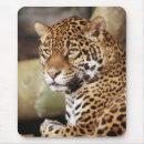 Recherche de jaguar tapis souris Animal