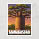 Recherche de baobab cartes postales Arbre