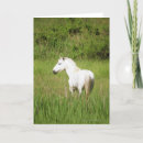 Zoek naar paarden kaarten Cowboy