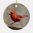 Recherche de ornement cardinal ornements Oiseau