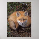 Recherche de 1002 posters Alaska