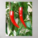 Recherche de cayenne posters Rouge