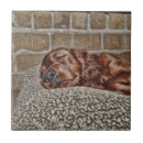 Recherche de irlandais carreaux Rouge
