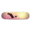 Recherche de oiseaux skateboards Boy