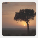 Recherche de solitude autocollants Paysage