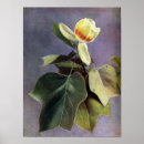 Zoek naar bloeiende bomen posters Bloesems