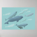 Recherche de whale posters Baleine