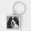 Zoek naar bernese mountain dog sleutelhangers Gezelschapsdieren