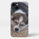 Zoek naar pembroke welsh corgi iphone hoesjes Canine