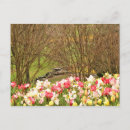 Recherche de arbre tulipe cartes postales Jaune
