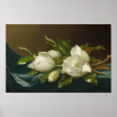 Zoek naar fluweel posters Bloemen