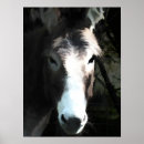 Zoek naar boerderijdieren posters Schattig