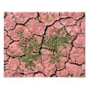 Recherche de terres posters Désert