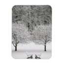 Recherche de congélation magnets Paysage