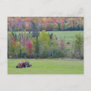 Recherche de tracteur vert posters Automne