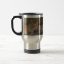 Recherche de tigre tasses Photographie