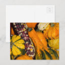 Zoek naar mais briefkaarten Fotografie