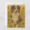 Recherche de berger australien cartes postales Nature