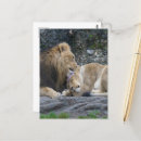 Recherche de puissante cartes postales Animal