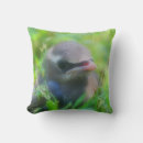 Recherche de cèdre coussins Oiseau