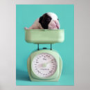 Recherche de chien bouledogue art Mignon