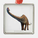 Recherche de vieux ornements Illustration