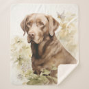 Recherche de laboratoire beau Dog