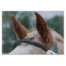 Recherche de équestre planches à découper Chevaux