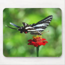 Recherche de zèbre noir tapis souris Nature