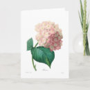 Zoek naar hydrangea hortensia kaarten Waterverf
