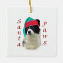 Recherche de border collie ornements Bordure