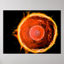 Recherche de système immunitaire posters Science