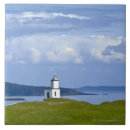 Recherche de bétail carreaux Dehors