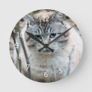 Recherche de cat horloges Félin