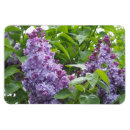 Recherche de lila magnets Fleurs