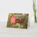 Zoek naar mailbox kaarten Rood