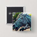 Recherche de cheval badges Photographie