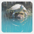 Recherche de roches photographie Photographie de la nature