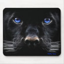 Recherche de jaguar noir tapis souris Panthère