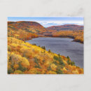 Recherche de couleurs chute cartes postales Michigan