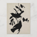 Recherche de audubon Ombres